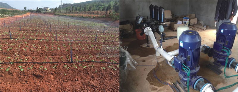 九乡古耕有机庄园蔬菜微喷案例