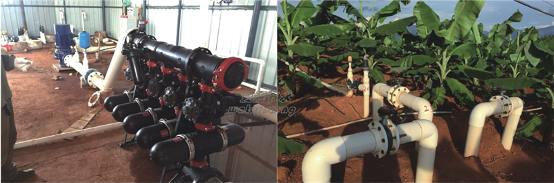 西双版纳香蕉水肥一体化案例