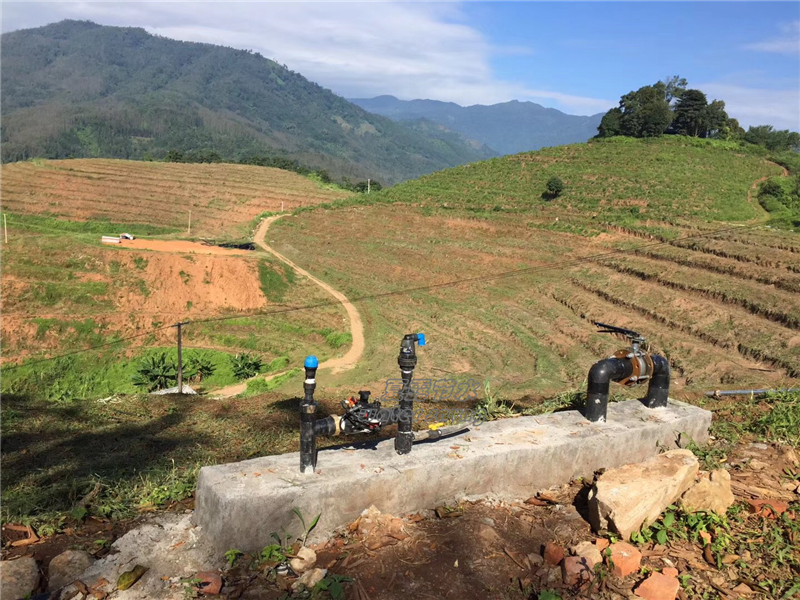 云南德宏山地果树滴灌首部系统